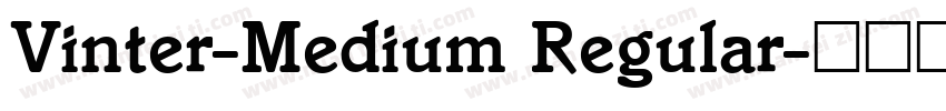 Vinter-Medium Regular字体转换